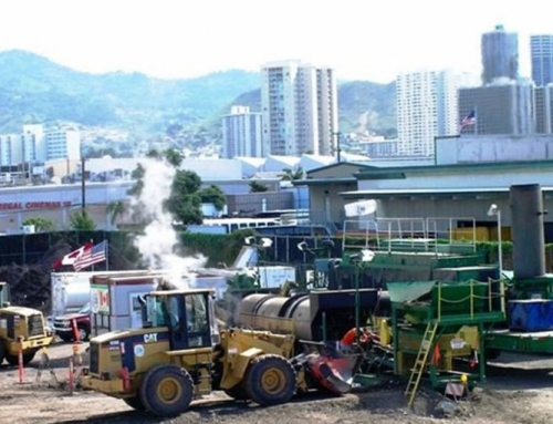 2017: NELSON Year in Review